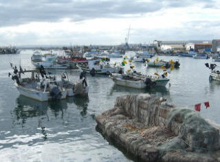 Fischerboote im Hafen Von Isla Christina