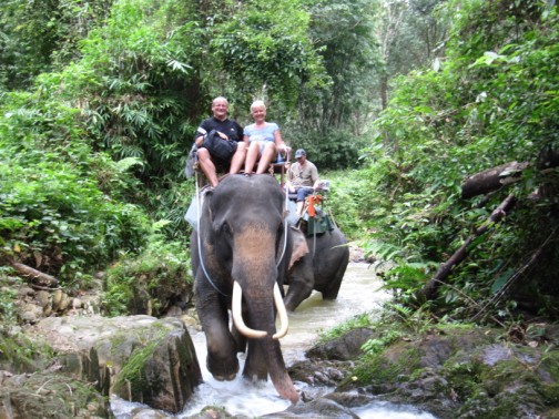 mit dem Elefant ging es dann weiter